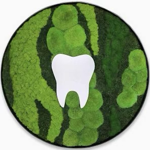 Dentist Icon